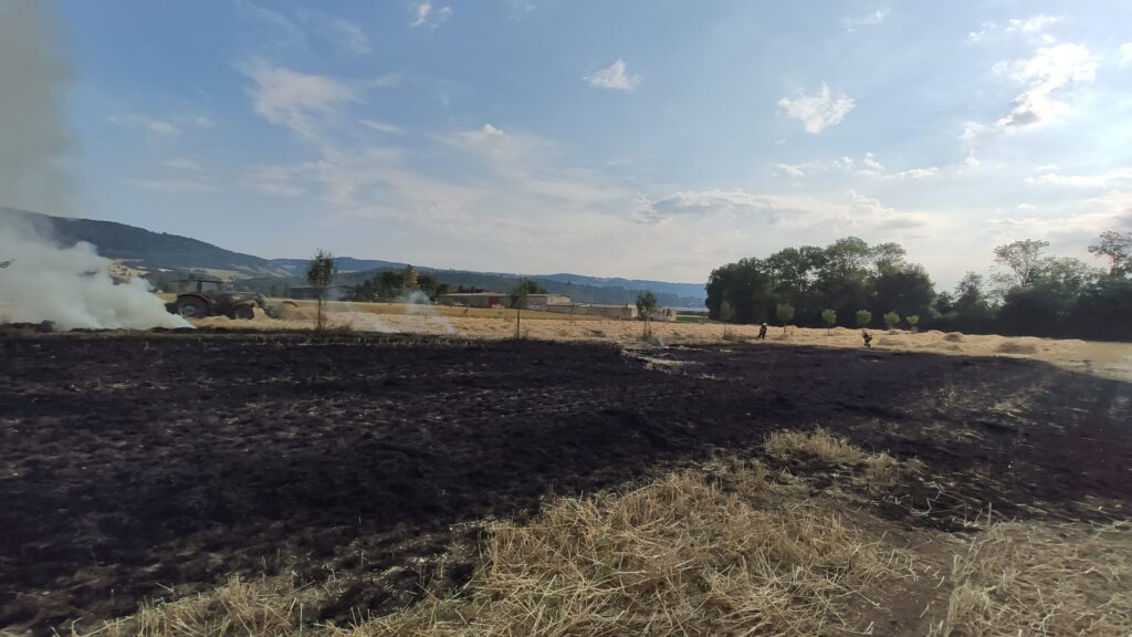 Feu de champ